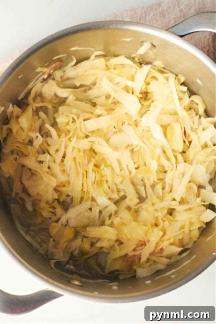 Sauerkraut Quick Recipe - Garnished and ready to serve