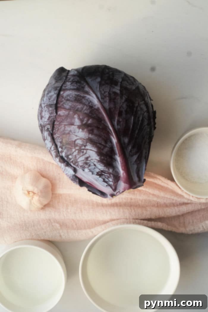 A second image of vibrant pickled red cabbage in a jar, highlighting its appetizing texture and deep color.