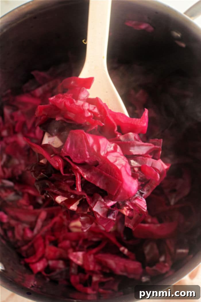Red Cabbage Sauerkraut, showcasing a slightly different texture for fermented cabbage.