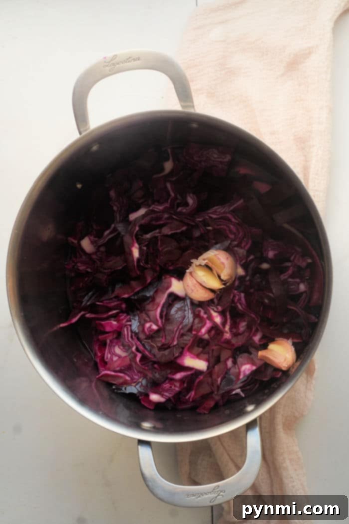 Pickled Red Cabbage Recipe served as a side dish.