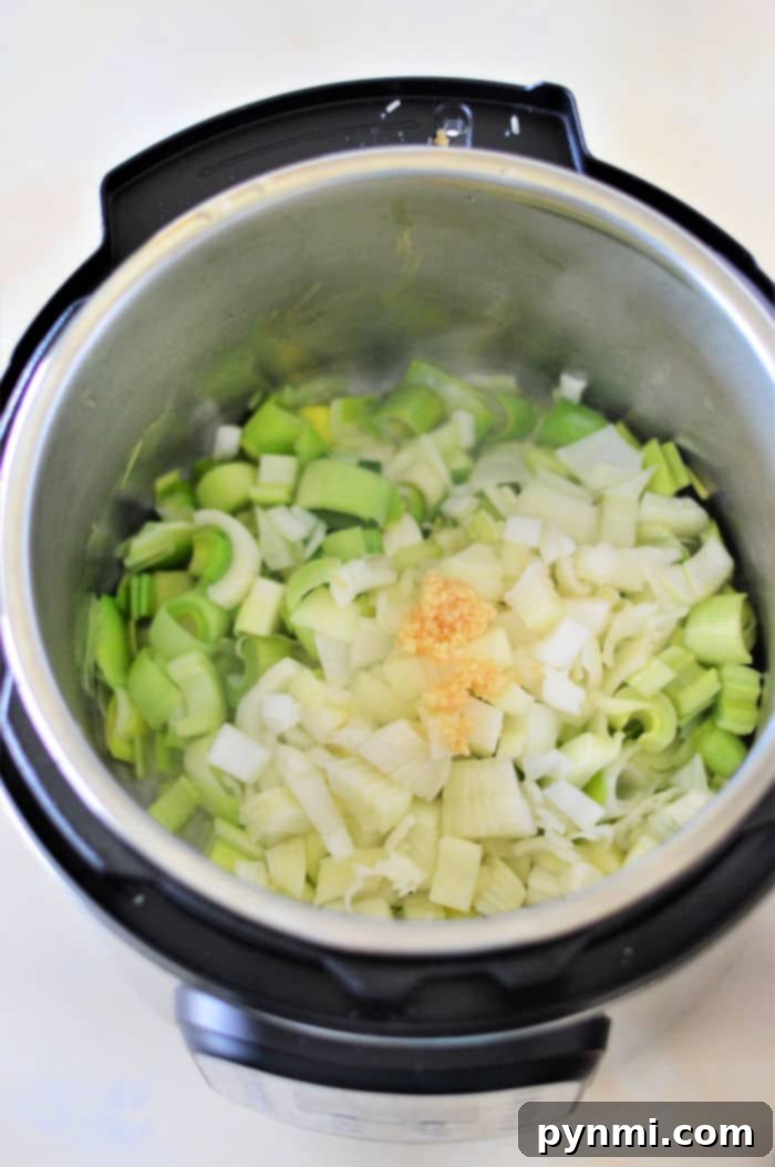 Velvety Instant Pot Potato Leek Comfort 5 A bowl of creamy Instant Pot Potato Leek Soup, perfectly smooth and inviting.