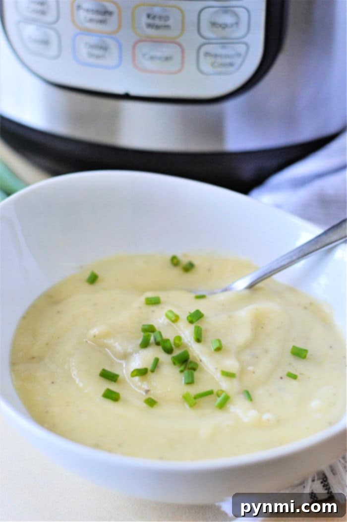 Velvety Instant Pot Potato Leek Comfort 7 A bowl of Potato Leek Soup made in a Ninja Foodi, topped with fresh herbs, showcasing its creamy texture.