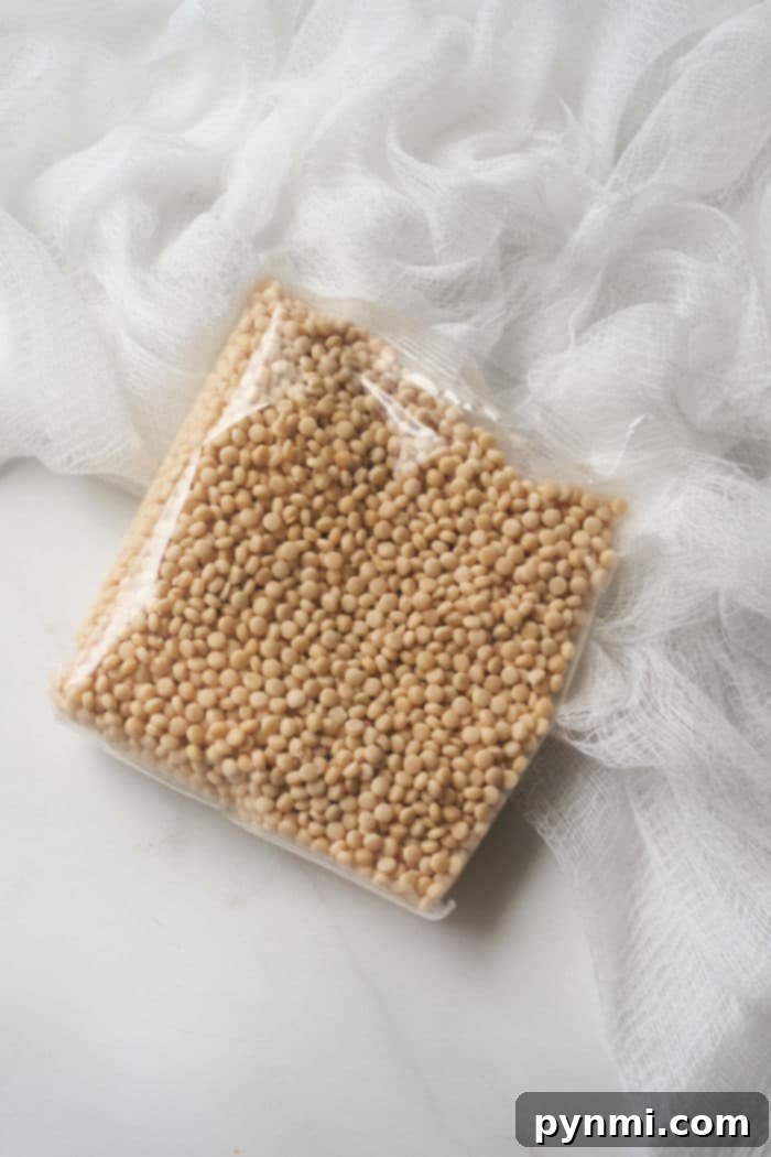 Perfect Pearl Couscous Every Time 3 Pearl couscous in a bowl, showcasing its unique bead-like shape before cooking.