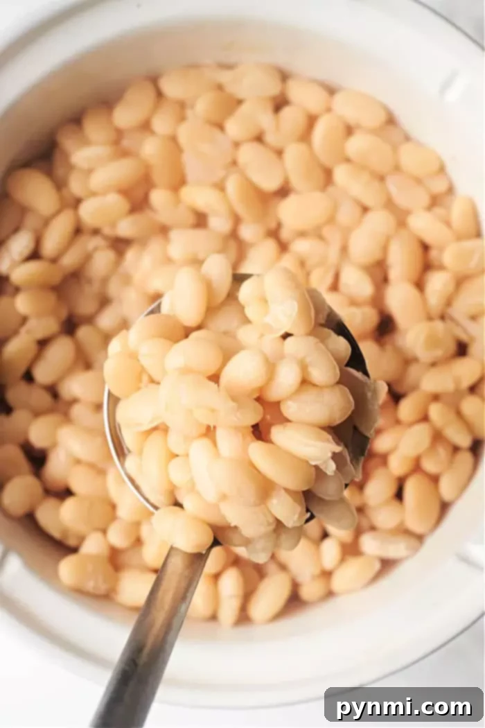 Creamy Northern White Beans 2 A close-up view of a metal ladle filled with cooked Great Northern beans over a pot also containing Great Northern beans. The beans are plump and lightly coated with liquid, ready to be enjoyed as a wholesome side dish.