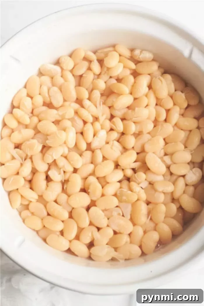 Creamy Northern White Beans 6 A white bowl filled with numerous Great Northern beans, showcasing their small, oval shape and creamy color, ready for any recipe.