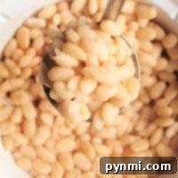 Creamy Northern White Beans 7 A spoonful of tender Great Northern beans crowns a bowl brimming with these perfectly cooked legumes. Discover how to cook them to velvety perfection and enhance your favorite dishes.