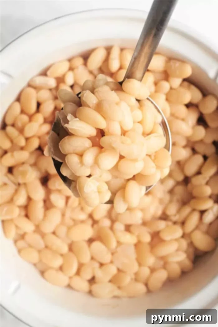 Creamy Northern White Beans 8 A ladle holding cooked Great Northern beans is being lifted from a pot filled with more perfectly cooked, tender beans. The beans are light beige in color and appear soft, ready to be served.