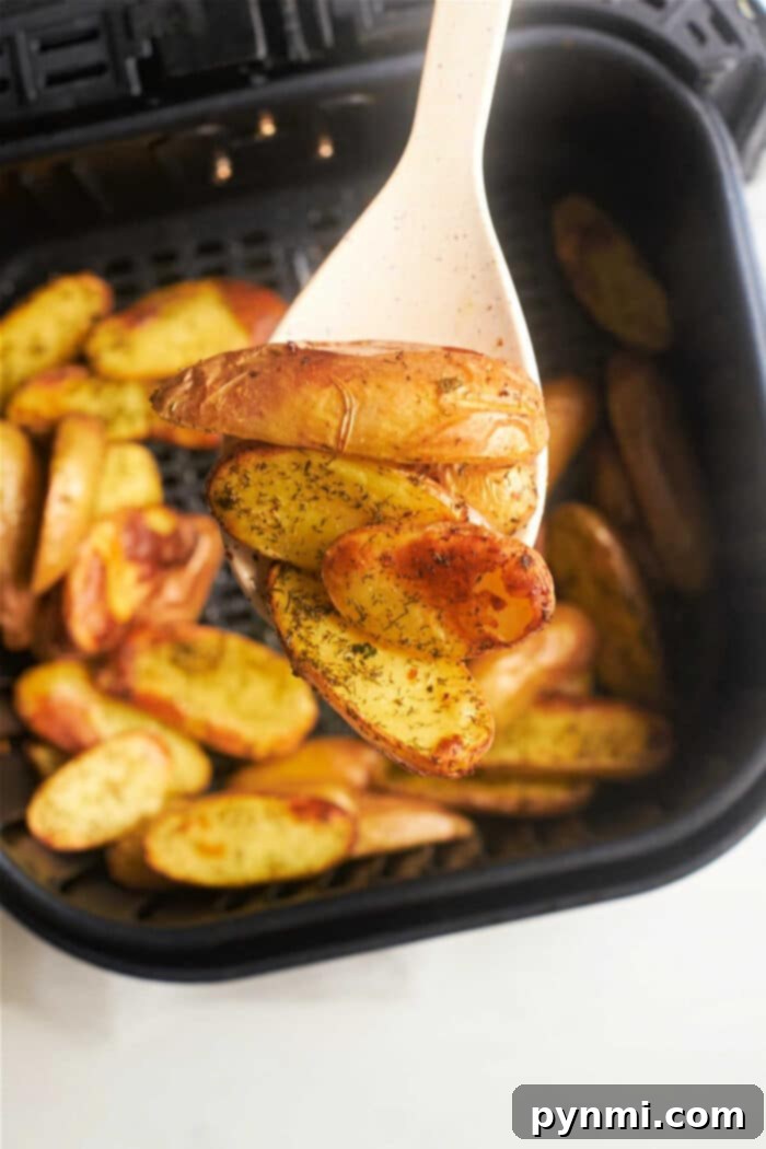 Crispy Air Fryer Fingerling Potatoes 2 Crispy Air Fryer Fingerling Potatoes, golden brown and seasoned to perfection