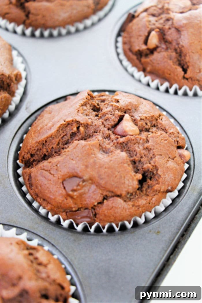 Crack the Secret to Costco's Famous Chocolate Muffins 4 double chocolate muffin recipe