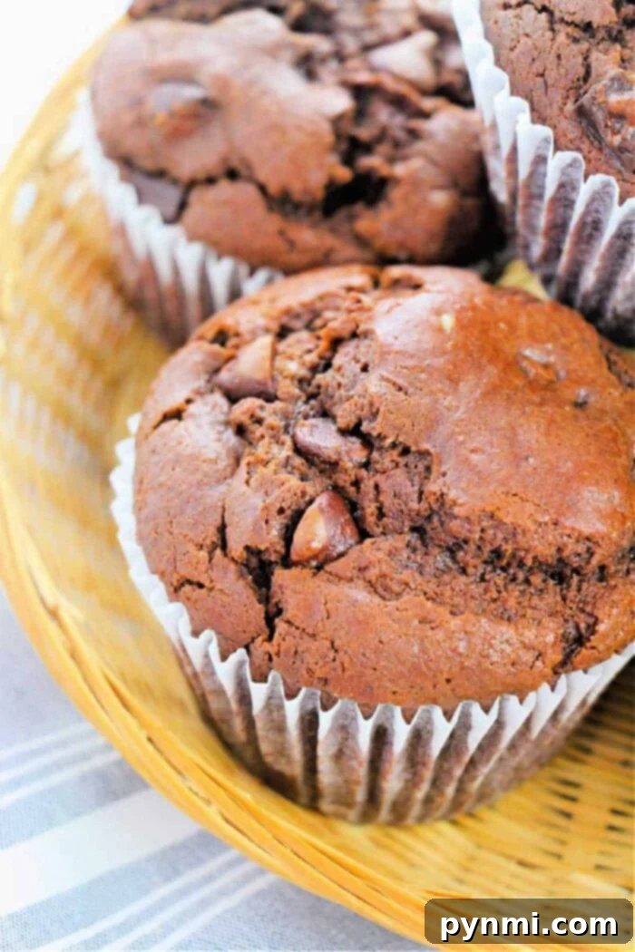 Crack the Secret to Costco's Famous Chocolate Muffins 5 copycat costco chocolate muffins