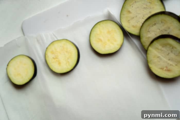 freezing eggplant