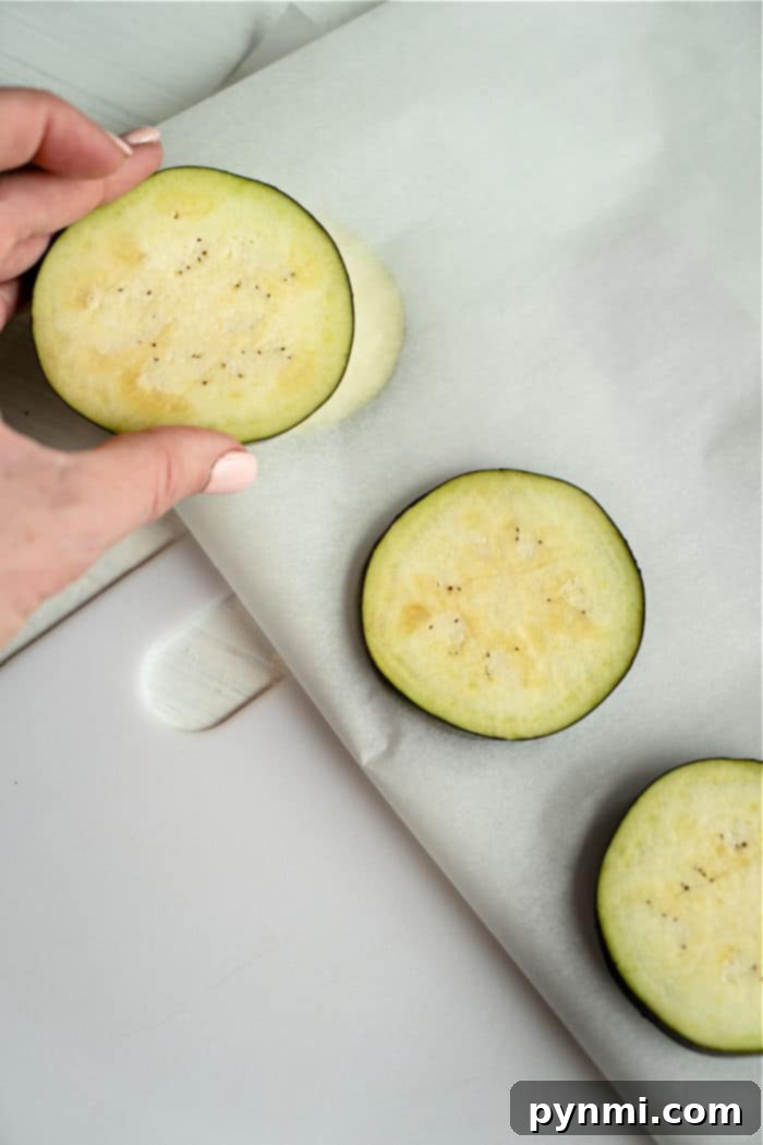 freeze eggplant