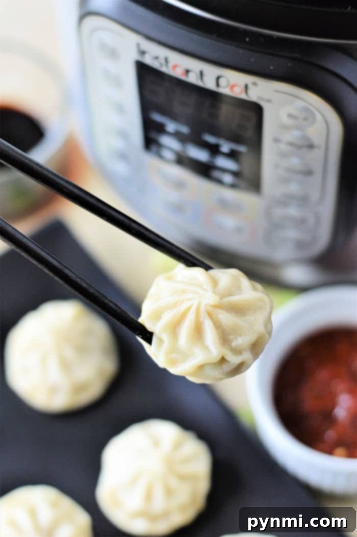 Instant Pot Frozen Dumplings