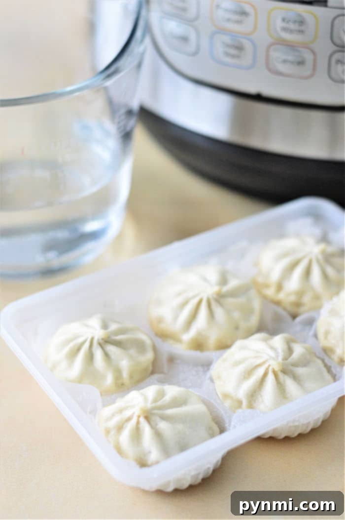 How to Cook Frozen Dumplings