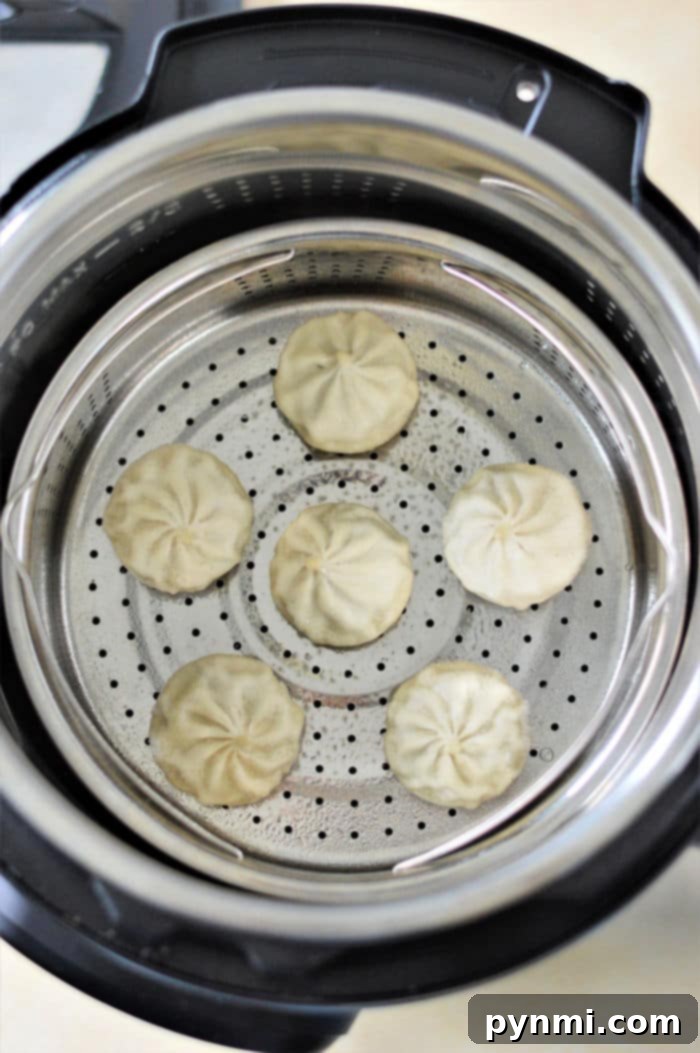 Six dumplings steam gently in a stainless steel basket inside instant pot, revealing the simple art of cooking frozen dumplings to perfection.
