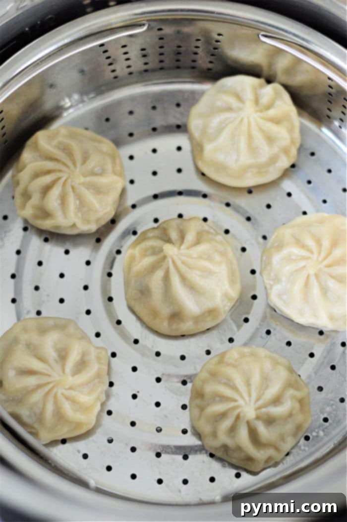 Pressure Cooker Dumplings