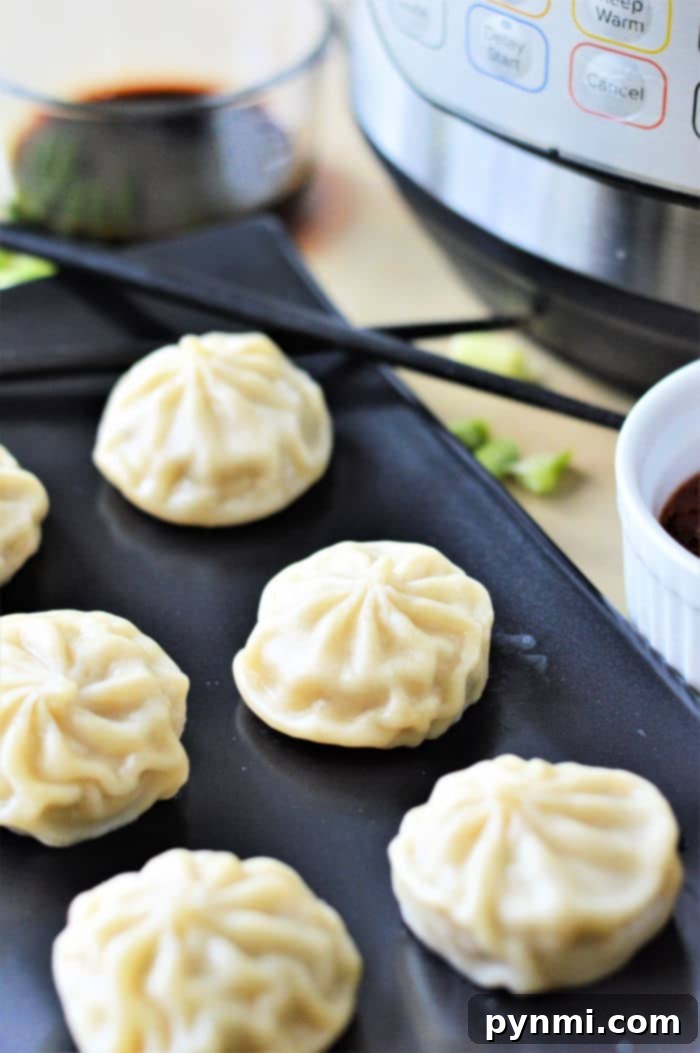 Instant Pot Dumplings