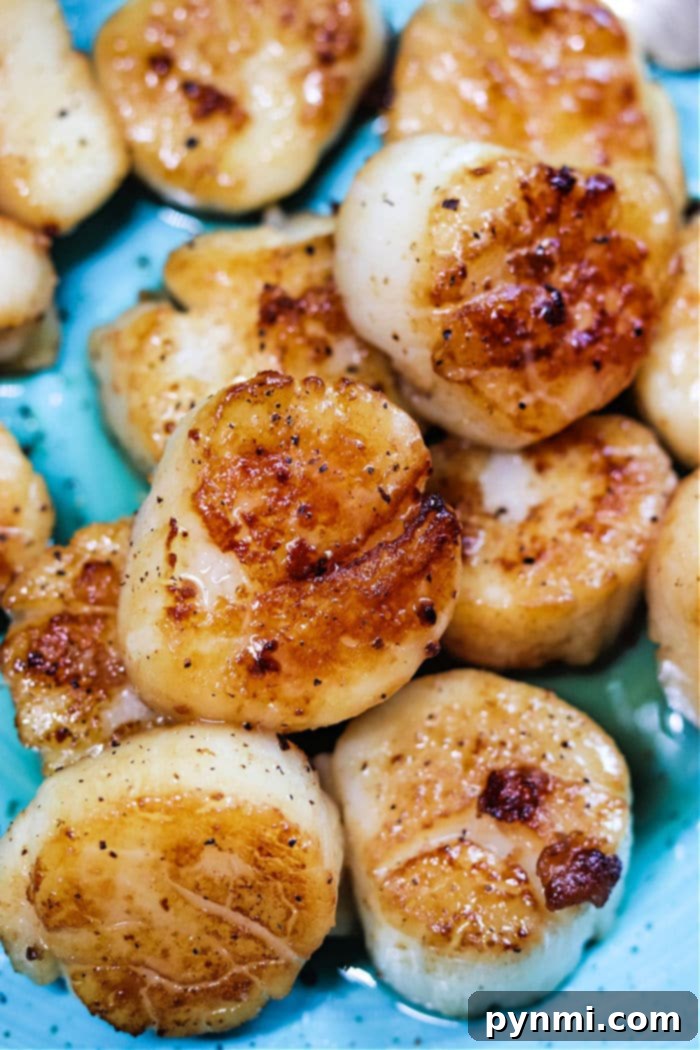 Cooking Frozen Scallops to Perfection 6 How to Cook Frozen Scallops – a dish of perfectly cooked scallops ready to be served.