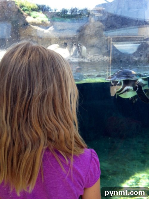 Long Beach Ocean Discovery 4 Children enjoying the interactive touch pool exhibit at the Aquarium of the Pacific