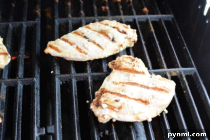 Frozen Grilled Chicken: From Freezer to Flavorful Plate 6 How to Cook Frozen Chicken on the Barbecue: Finished Result