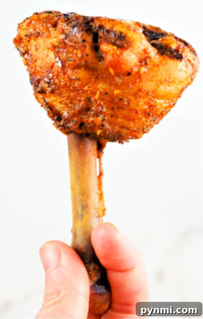 Perfect Lollipop Chicken Drumsticks 7 A hand holds a perfectly seasoned and cooked giant lollipop chicken drumsticks, against a white background.