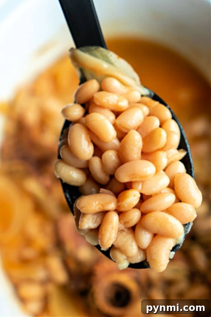 Creamy Mayocoba Beans 2 Mayocoba Beans Recipe with Ham Hock