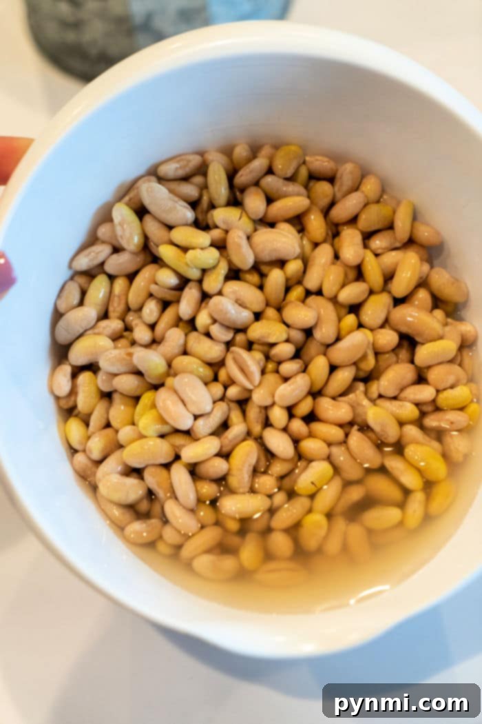 Creamy Mayocoba Beans 4 How Long to Soak Beans for Best Results