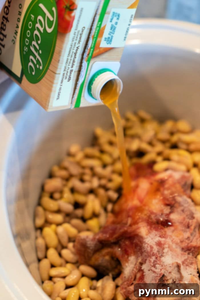 Creamy Mayocoba Beans 5 What are Mayocoba Beans and Their Benefits