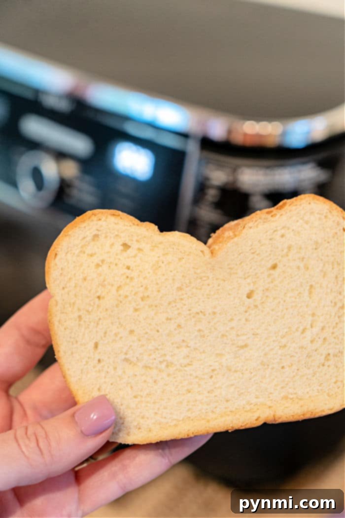 Air Fryer Toast Slices