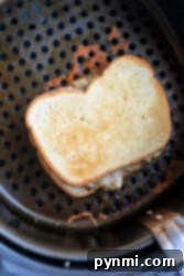 A perfectly toasted air fryer tuna melt rests in the air fryer basket. Its golden-brown bread and visible melted cheese make it an inviting and quick meal.