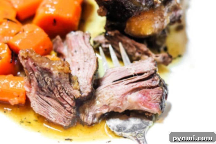 Tender Oven-Braised Oxtails 7 best oxtail recipe serving suggestion