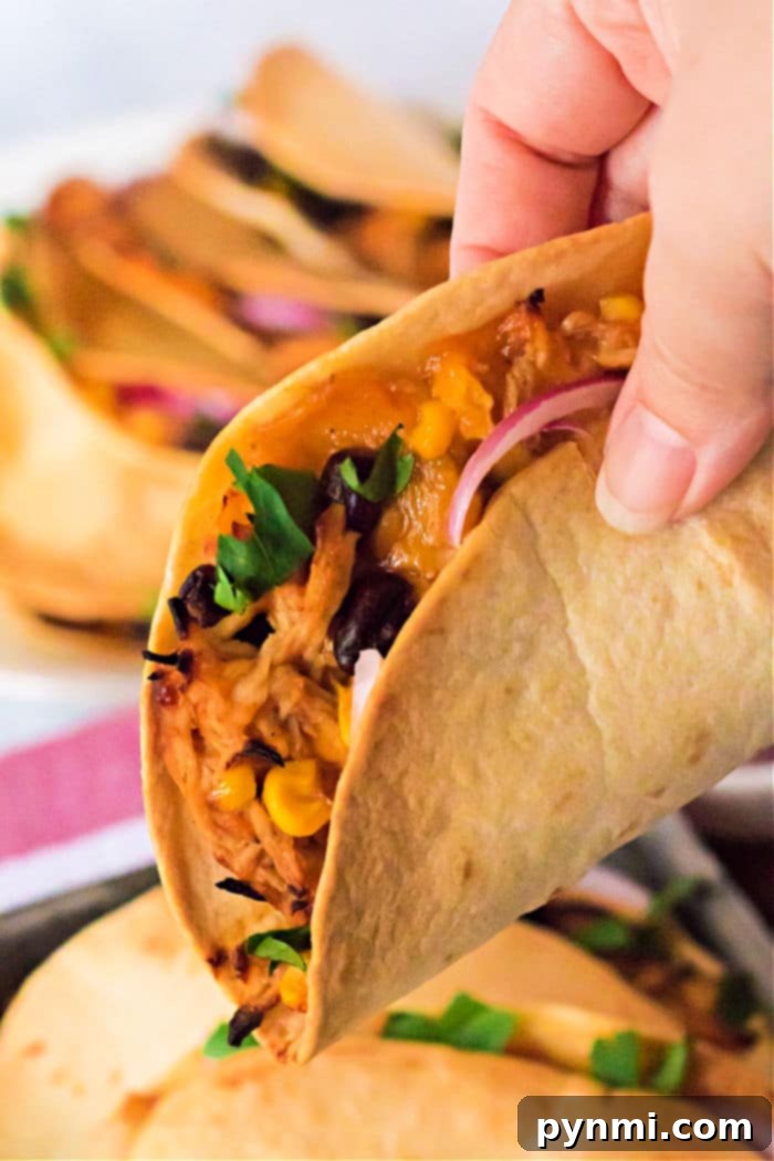 A single air fryer taco, perfectly browned and ready to be served.