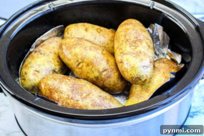 Smoky Pulled Pork Spud 3 crockpot baked potatoes