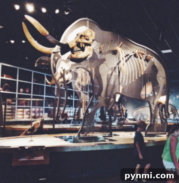World as Your Classroom: Homeschool Excursions 3 dinosaur museum hemet