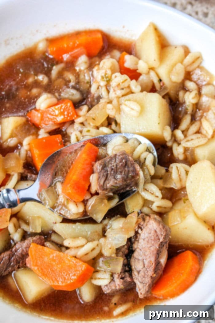 Hearty Slow Cooker Beef and Barley Soup 2 Best Ever Beef and Barley Soup