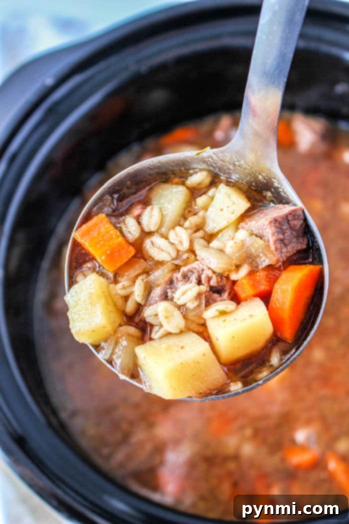 Hearty Slow Cooker Beef and Barley Soup 4 Vegetable Beef Barley Soup Slow Cooker