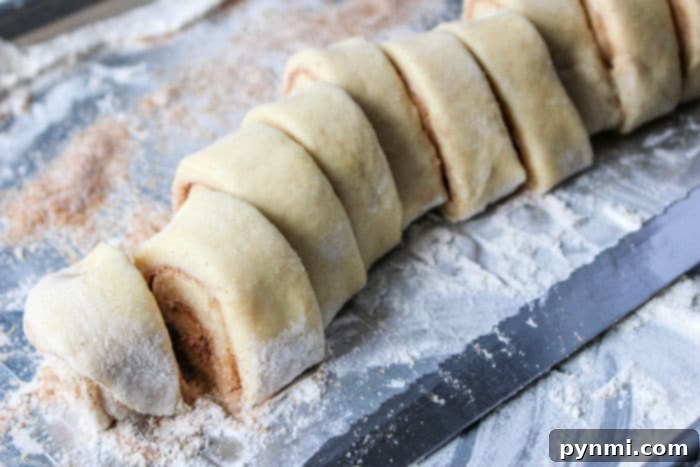 easy cinnamon roll recipe
