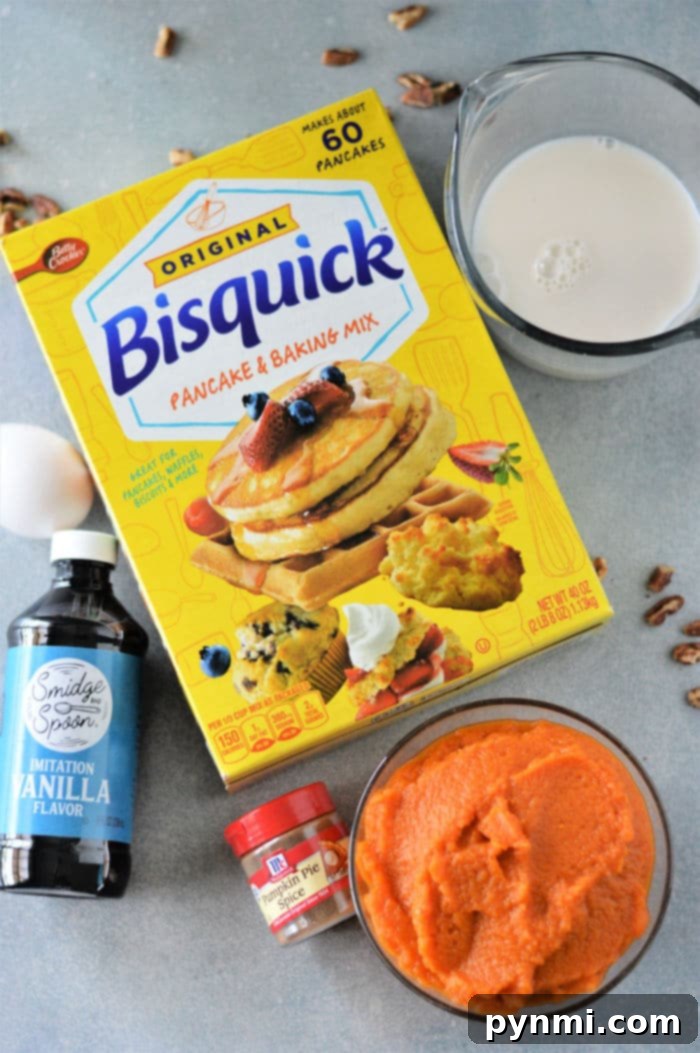 Close-up of a perfectly cooked Bisquick Pumpkin Pancake, showing its fluffy texture and golden-brown edges, ready to be served.