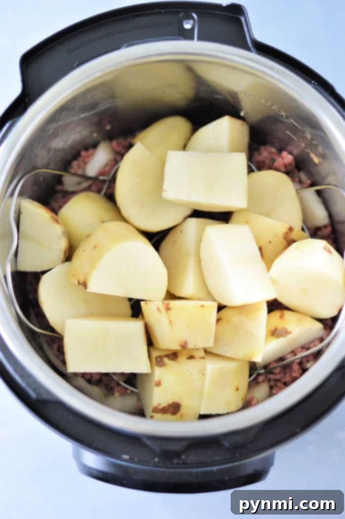 Effortless Instant Pot Shepherd's Pie 4 Shepherd's Pie in Pressure Cooker