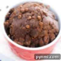 Spoon-Worthy Edible Brownie Batter 7 A close-up of a serving of edible brownie batter