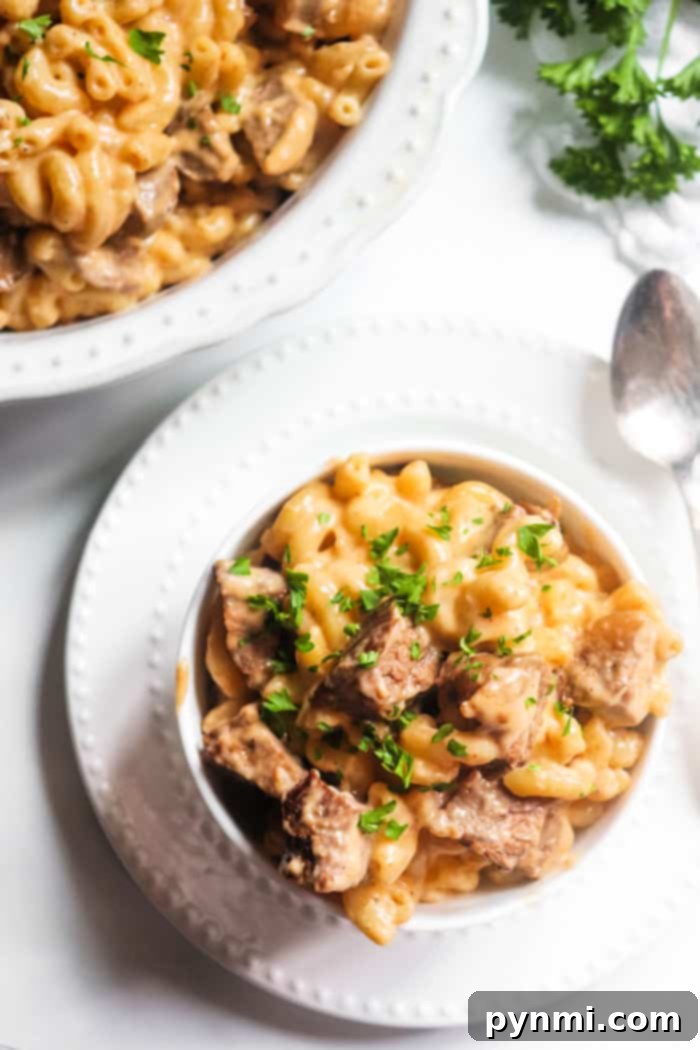Brisket Macaroni and Cheese