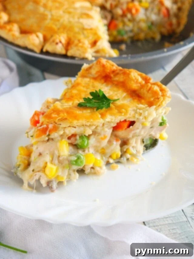 Effortless Bisquick Creations 4 A savory Bisquick dinner, possibly a pot pie or a casserole, showcasing the versatility of the mix for main courses.
