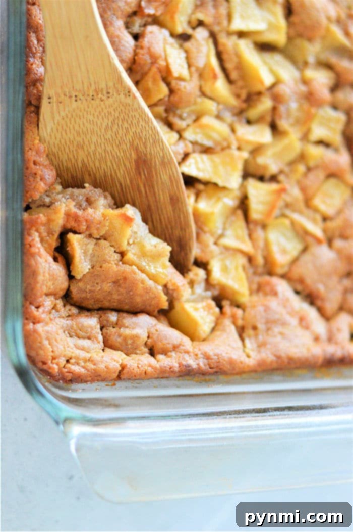 Effortless Bisquick Creations 6 A rustic apple cobbler made with Bisquick, brimming with baked apples and a golden, crumbly topping.