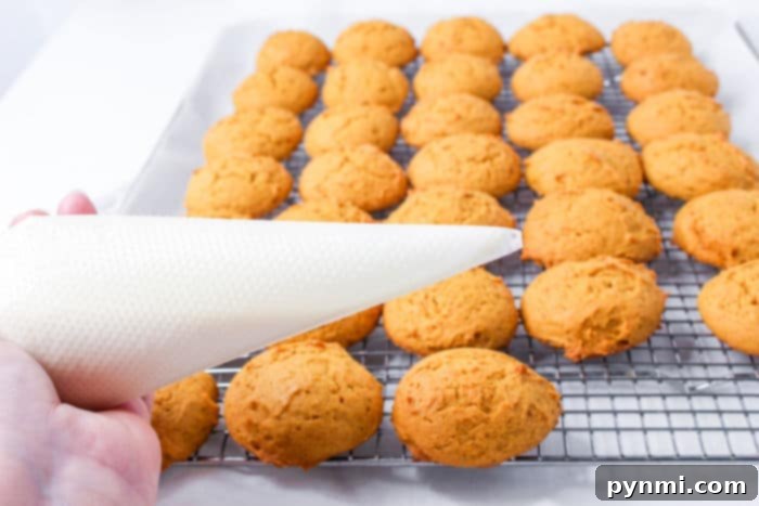 Frosted Fall Pumpkin Delights 5 A plate of Iced Pumpkin Cookies, ready to be served as a delicious fall treat.