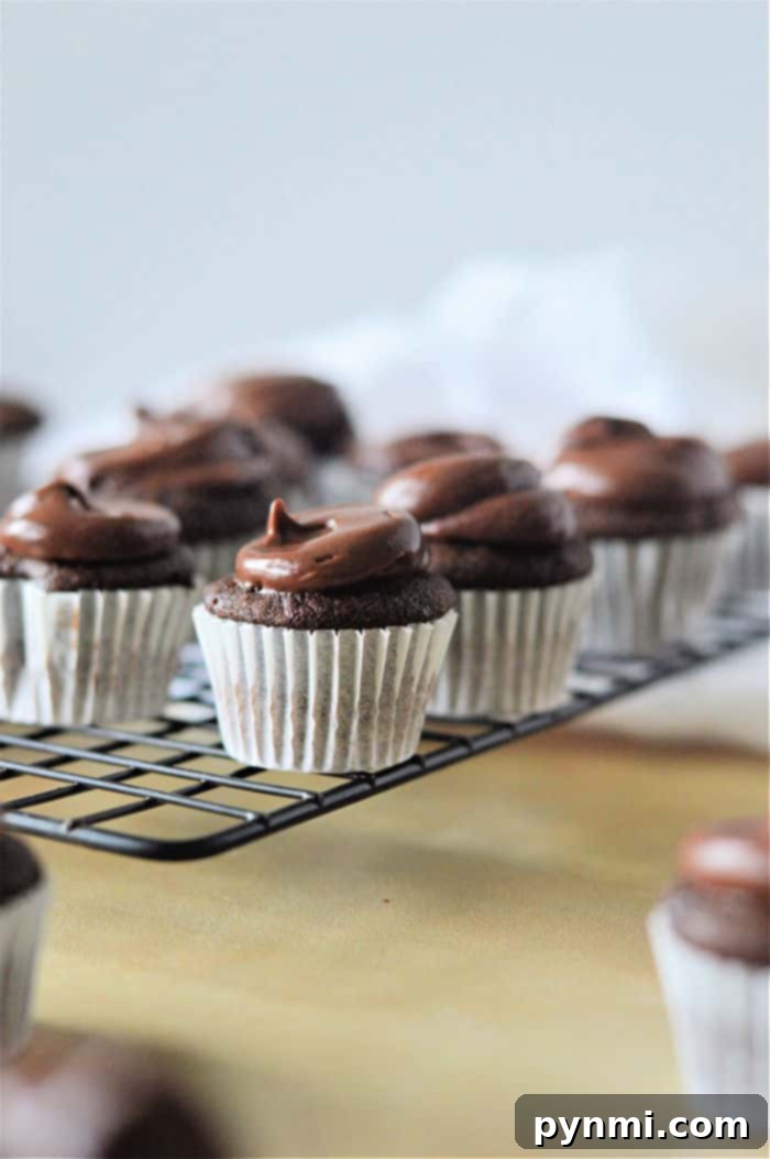 Close-up of baked Mini Chocolate Muffins, revealing their moist texture and golden-brown tops, ready for frosting.