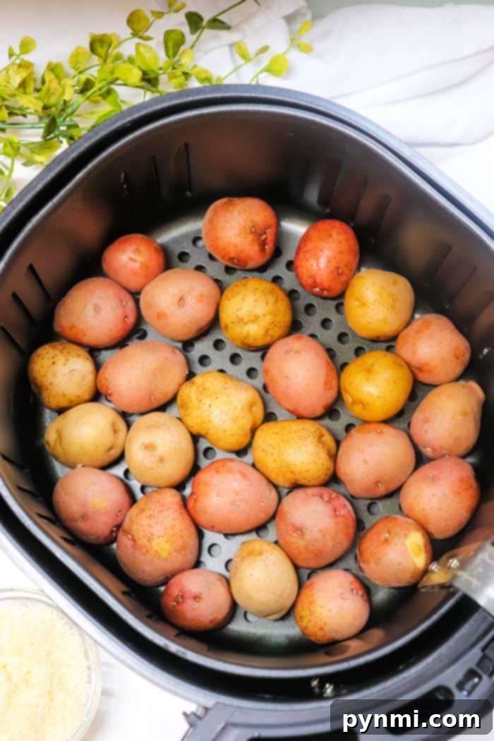 Golden Crispy Air Fryer Smashed Potatoes 4 Air Fryer Smashed Potatoes with spices and herbs.