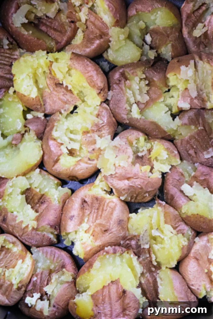 Golden Crispy Air Fryer Smashed Potatoes 5 Smashed Fingerling Potatoes seasoned and ready for the final crisping.