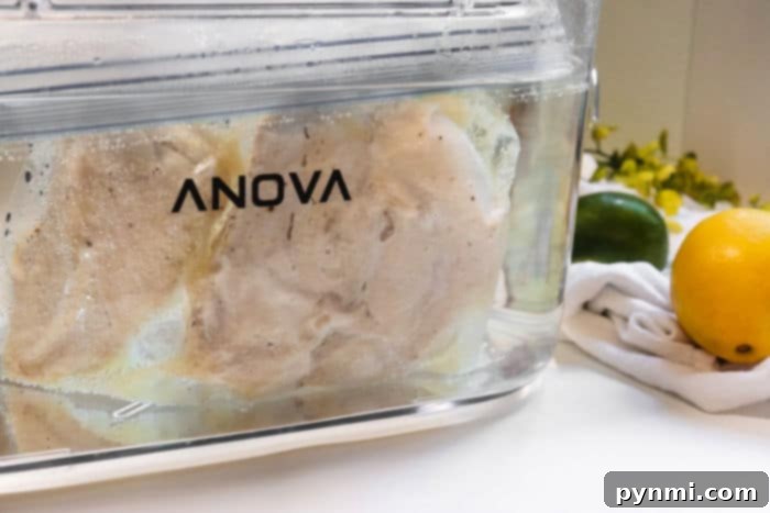 Frozen chicken sous vide: Ready to be seasoned.