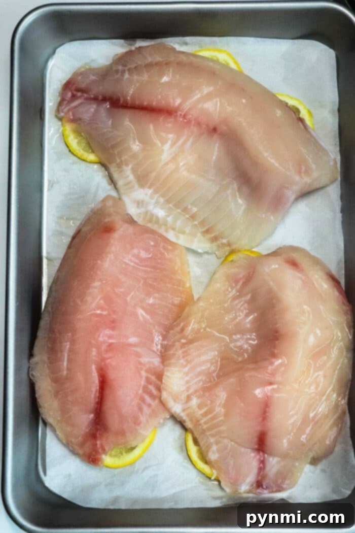How to Cook Frozen Tilapia