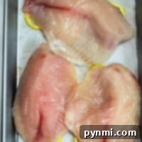 How to Cook Frozen Tilapia